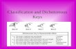 Classification and Dichotomous Keys. Bell work 9/17 Continue on your bellwork sheet from last week! Think about the different ways humans classify things.