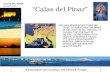 CALAS DEL PINAR by Golf Invest Esther Pérez 649.802.566 / Floris Bleichrodt 659.945.906 / calasdelpinar@golfinvest.net “Calas del Pinar” Our new development.