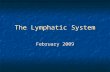 The Lymphatic System February 2009. Functions drains and filters protein containing fluids from tissue which has escaped from blood capillaries drains.