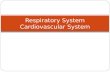 Respiratory System Cardiovascular System. The Respiratory System.