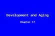 Development and Aging Chapter 17. Stages of Development Gamete formation Fertilization Cleavage Gastrulation Organ formation Growth, tissue specialization.