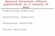 Natural Selection affects populations in a variety of ways Stabilizing selection Directional selection Disruptive selection Sexual selection.