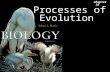 Processes of Evolution Chapter 18. Processes of Evolution 2 Microevolution Microevolution pertains to the evolutionary changes within a population.