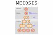 MEIOSIS Q2 WK3 D2. Meiosis Meiosis is the type of cell division by which germ cells (eggs and sperm) are produced. One parent cell produces four daughter.