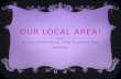 OUR LOCAL AREA! By Leoni Dendrickson, Libby Serginson, Tayla whitmore.