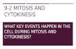 9-2 MITOSIS AND CYTOKINESIS WHAT KEY EVENTS HAPPEN IN THE CELL DURING MITOSIS AND CYTOKINESIS?
