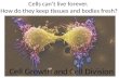 Cells can’t live forever. How do they keep tissues and bodies fresh? Cell Growth and Cell Division.