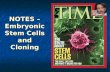 NOTES – Embryonic Stem Cells and Cloning. What are stem cells? Embryonic Stem Cells – cells present in the early stages of an embryo’s development that.
