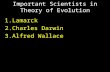 Important Scientists in Theory of Evolution 1.Lamarck 2.Charles Darwin 3.Alfred Wallace.