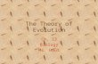 The Theory of Evolution Ch. 13 Biology Ms. Haut. Lamarck’s Theory of Acquired Inheritance (early 1800s) Jean Baptiste Lamarck observed fossil records.