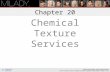 Chemical Texture Services Chapter 20 Learning Objectives Explain the four chemical reactions that take place during permanent waving. Explain the difference.