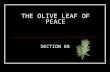 THE OLIVE LEAF OF PEACE SECTION 88. SECTION 88 THE OLIVE LEAF OF PEACE Historical Background On 27 December 1832 a conference of 10 high priests, including.