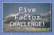 Five Factor CHALLENGE! (c) 2008 The Effectiveness Group, LLC .