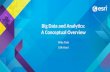 Big Data and Analytics: A Conceptual Overview Mike Park Erik Hoel.