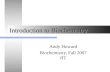 Introduction to Biochemistry Andy Howard Biochemistry, Fall 2007 IIT.