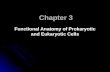 Chapter 3 Functional Anatomy of Prokaryotic and Eukaryotic Cells.