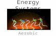Energy Systems Aerobic System. Two Energy Systems 1.Aerobic – An energy system which is used in prolonged continuous activity in the presence of oxygen.