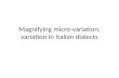 Magnifying micro-variation: variation in Italian dialects.