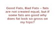 Good Fats, Bad Fats – fats are not created equal, but if some fats are good why does fat look so gross on my hips?