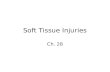 Soft Tissue Injuries Ch. 28. Soft Tissue Injuries The soft tissues of the skin have less resistance and are at greater risk for injury than the deeper,