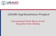 USAID Agribusiness Project Increasing Fresh Berry Fruit Exports from Serbia.
