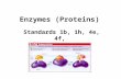 Enzymes (Proteins) Standards 1b, 1h, 4e, 4f, From the largest entity in the Universe to the smallest entity that makes up all the matter in the Universe.