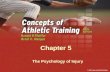 Chapter 5 The Psychology of Injury. Personality Variables Personality-defined as “stable, enduring qualities of the individual.” Personality characteristics.