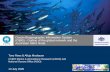 Ocean Biogeographic Information System (OBIS) - Outline of the global network and the Australian OBIS Node Tony Rees & Alicja Mosbauer CSIRO Marine & Atmospheric.