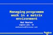 Ned Newton Logica plc, UK nednewton@lineone.net Managing programme work in a matrix environment.
