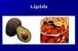Lipids. Lipids Do not readily dissolve in water Do not readily dissolve in water Types of lipids: Types of lipids: –Triglycerides –Phospholipids –Sterols.