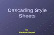 Cascading Style Sheets by Pavlovic Nenad by. Presentation Contents  What is CSS?  Why CSS?  Types of Style Sheets  Style Sheets Syntax  Box Formatting.