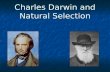 Charles Darwin and Natural Selection. Darwin journeyed on the HMS Beagle as a naturalist 5 year journey studied and collected many biological specimens.