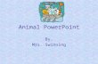 Animal PowerPoint By, Mrs. Swinning. Background 1.At the top of the screen, click “Format” 2.From the dropdown menu, choose “Background” 3.Choose background.