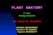 1 PLANT ANATOMY Dr. Wael M. Ibrahim BOTANY DEPARTMENT FACULTY OF SCIENCE Fayoum UNIVERSITY 2 nd year Biology Students.