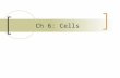 Ch 6: Cells. History of Cytology 1665 – Robert Hooke  Viewed cork  Named “cells” 1673 – Anton van Leeuwenhoek  Unicellular pond organisms – named “animalcules”