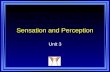 Sensation and Perception Unit 3. Copyright © 2011 Pearson Education, Inc. All rights reserved. Sensation Sensation - the activation of receptors in the.