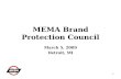 1 MEMA Brand Protection Council March 5, 2009 Detroit, MI.