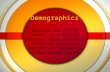 Demographics Because the United States is a diverse nation, there are many different political beliefs and behaviors in the United States.