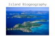 Island Biogeography. Mangrove islands off the Florida coast.
