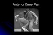Anterior Knee Pain. Patellofemoral pain syndrome Patellofemoral pain syndrome Trauma-Dislocation Trauma-Dislocation Osteoarthrosis Osteoarthrosis Cartilage.