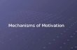 1 Mechanisms of Motivation. 2 Motivation and Incentives Motivation - factors within and outside an organism that cause it to behave a certain way at a.