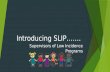 Introducing SLIP……. Supervisors of Low Incidence Programs.