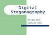 Digital Steganography Pelin Gul Sankar Das. Outline What is Steganography? Uses of Steganography Its Relation to Cryptography Digital Watermarking Network.