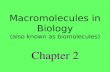 Macromolecules in Biology (also known as biomolecules) Chapter 2.
