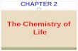 CHAPTER 2 The Chemistry of Life. Concept 2.1 Atoms, Ions and Molecules.