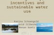 Heterogeneity, incentives and sustainable water use Karina Schoengold David Zilberman David Zilberman Renan Goetz.