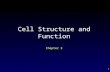 1 Chapter 3 Cell Structure and Function. 2 Outline Cellular Organization – Plasma Membrane  Functions – Nucleus – Endomembrane System – Cytoskeleton.
