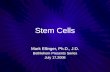 Stem Cells Mark Ellinger, Ph.D., J.D. Bethlehem Presents Series July 17,2008 Mark Ellinger, Ph.D., J.D. Bethlehem Presents Series July 17,2008.