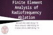 Finite Element Analysis of Radiofrequency Ablation Abirvab Deb- BME M.Eng ‘14 Brice Lekavich- BME M.Eng ‘14 Cristian Vilorio- BME M.Eng ‘14.