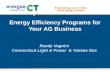 Energy Efficiency Programs for Your AG Business Randy Vagnini Connecticut Light & Power & Yankee Gas.